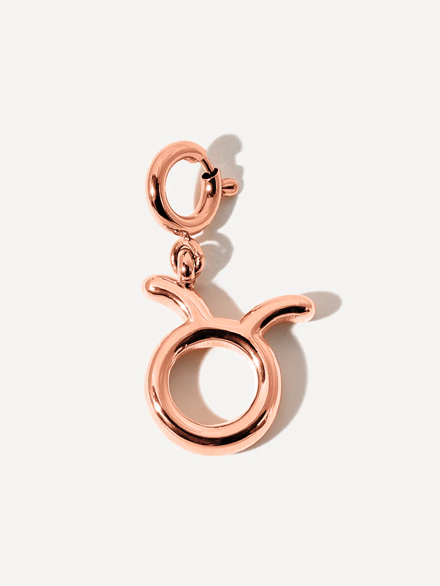 Classic Zodiac Ketten-Charm - Taurus - Image 7