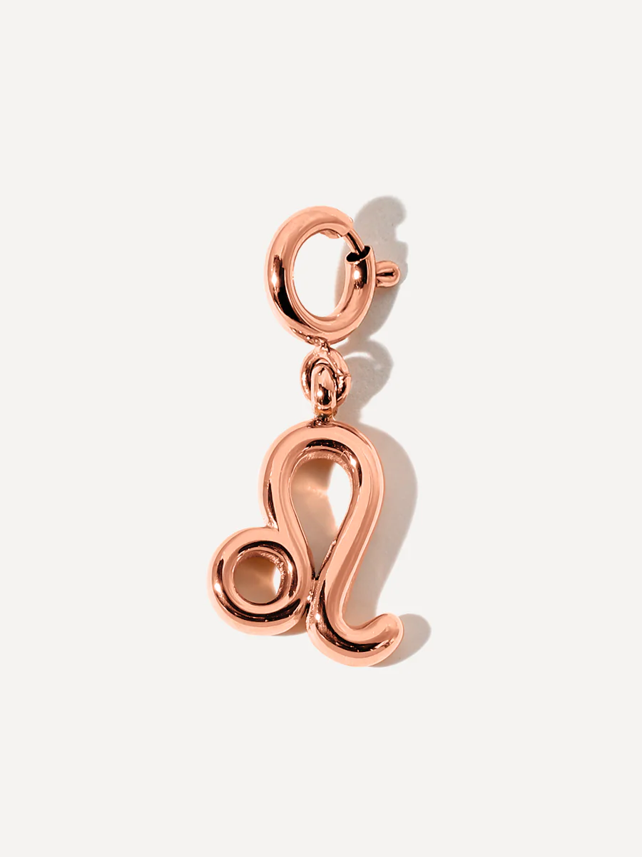 Classic Zodiac Ketten-Charms - Image 19