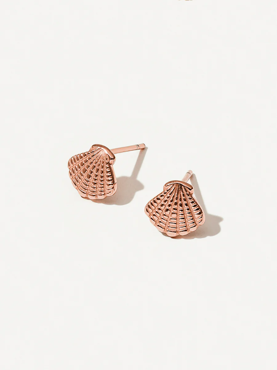 Exquisite Shell Ohrringe - Image 7