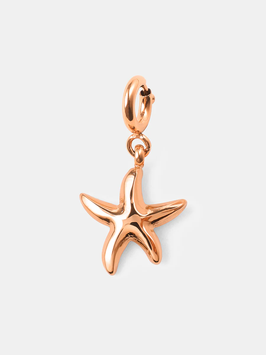 Mysterious Starfish Ketten-Charm - Image 12