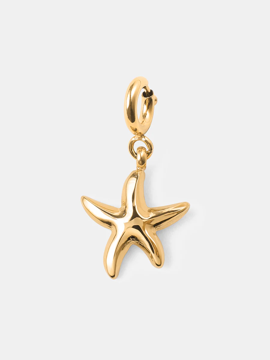 Mysterious Starfish Ketten-Charm - Image 13