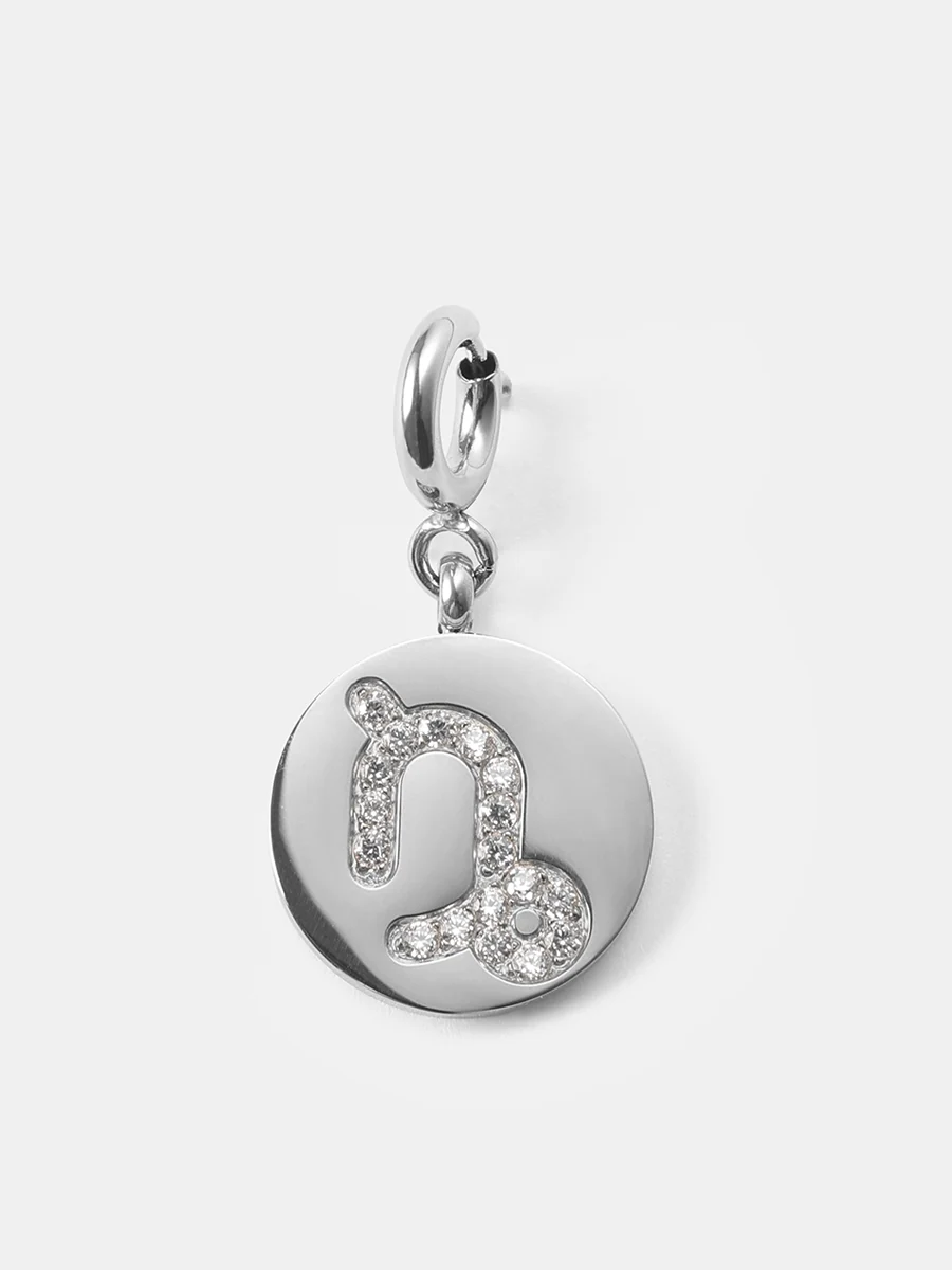 Twinkling Zodiac Ketten-Charms - Image 23