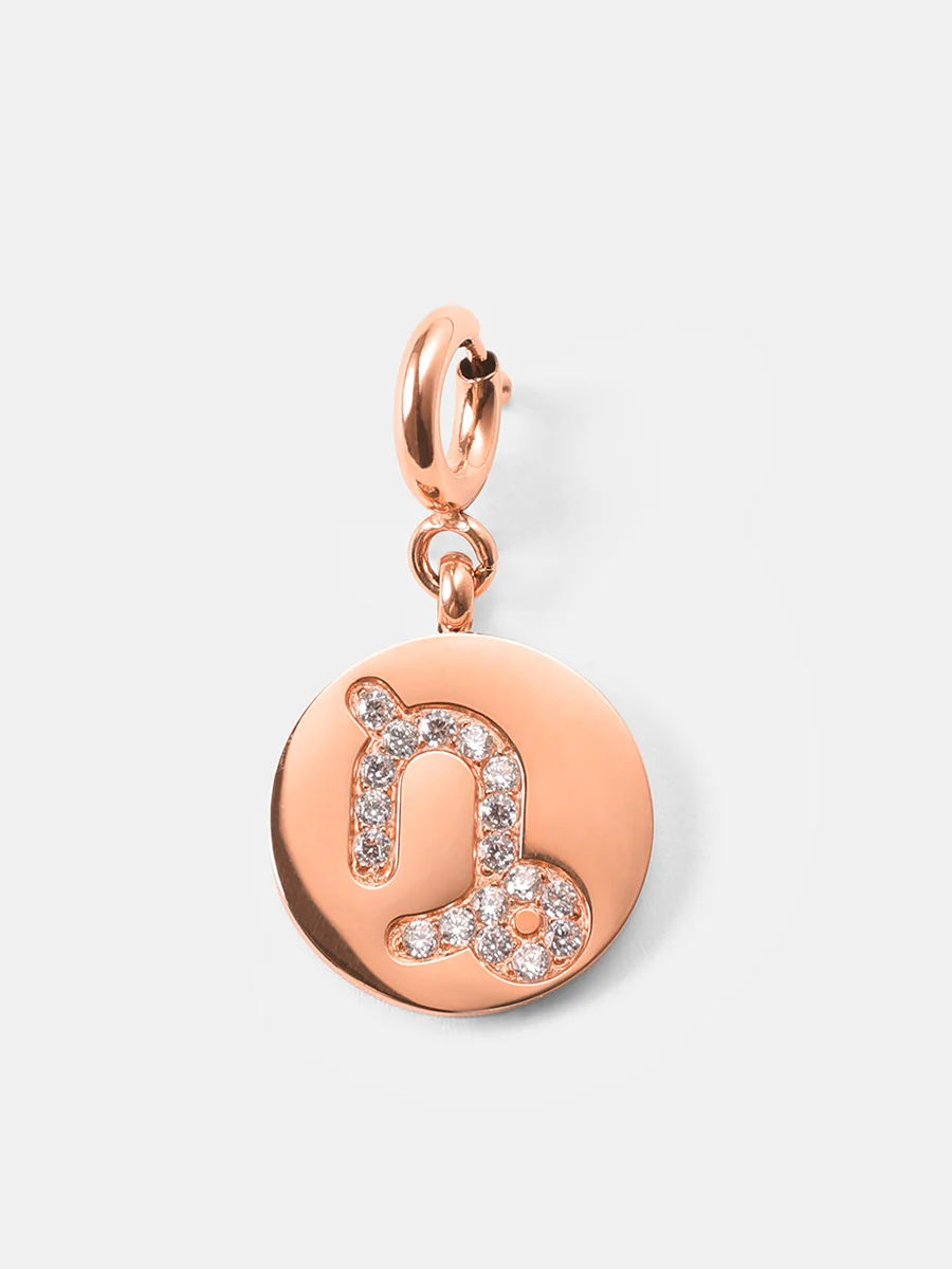 Twinkling Zodiac Ketten-Charms - Image 24