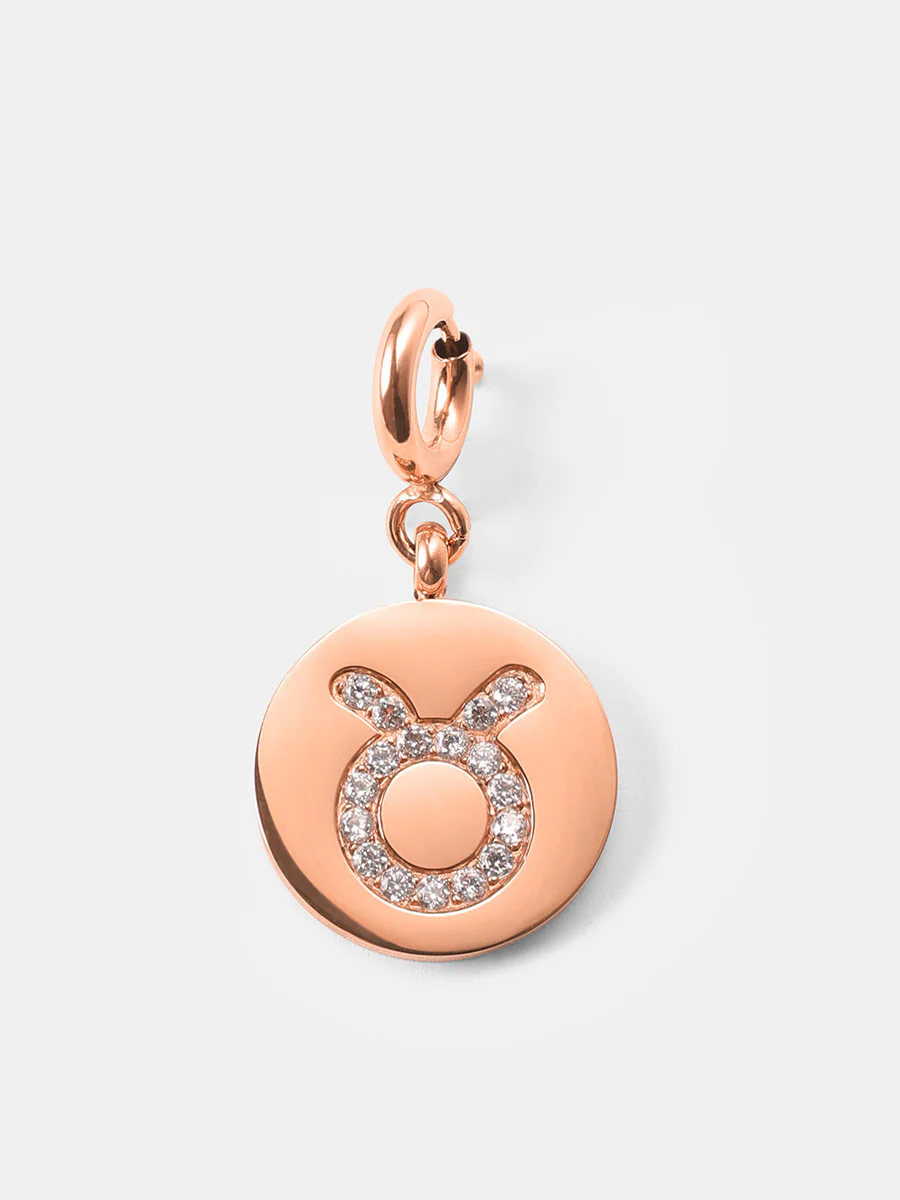 Twinkling Zodiac Ketten-Charms - Image 30